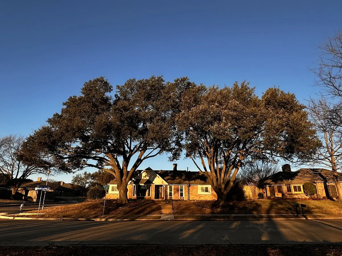 Established residential canopy tree shading a home in Hoolehua